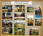 IMG_4996.JPG