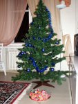 IMG_5579.JPG