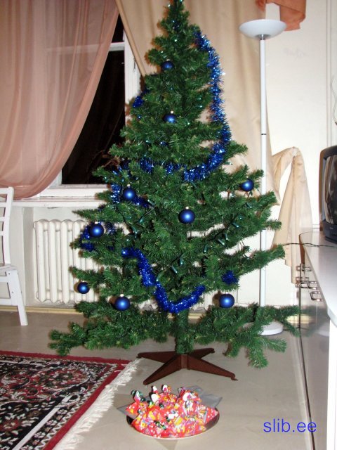 IMG_5579.JPG