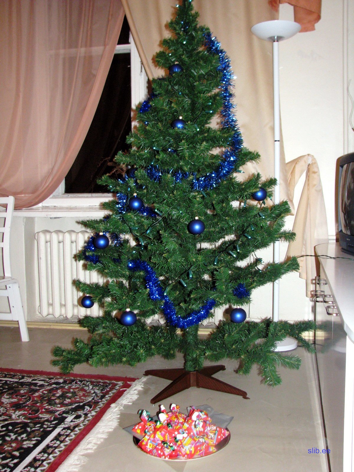 IMG_5579.JPG
