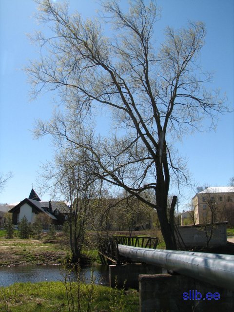21.JPG