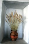 IMG_5754.JPG