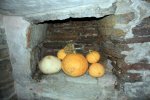 IMG_5766.JPG