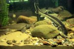 IMG_5932.JPG