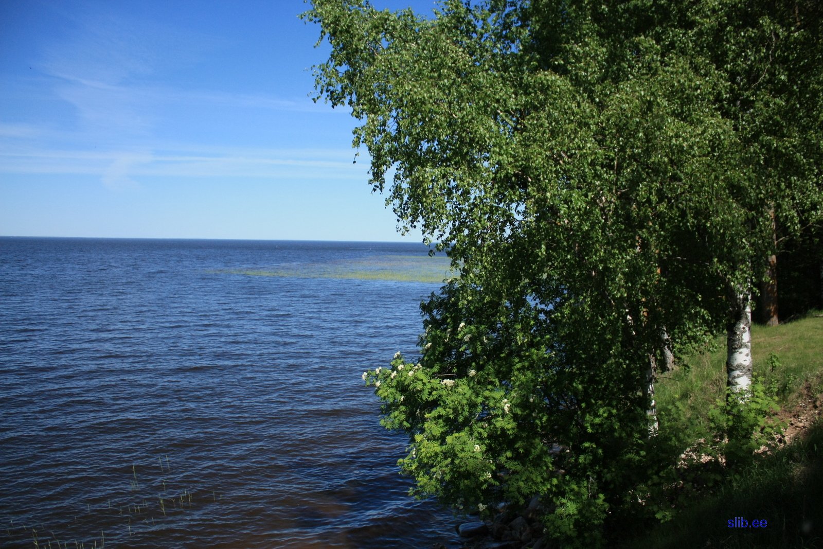 IMG_5938.JPG