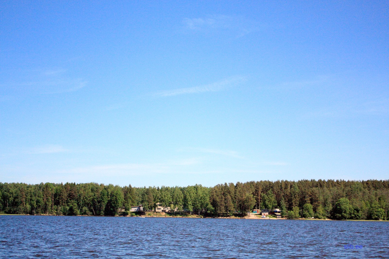 IMG_6011.JPG
