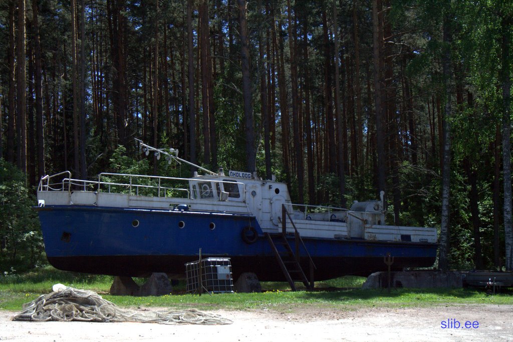 IMG_6864.jpg