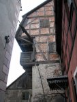 IMG_7192.JPG