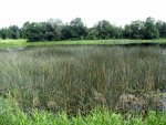 IMG_7285.JPG