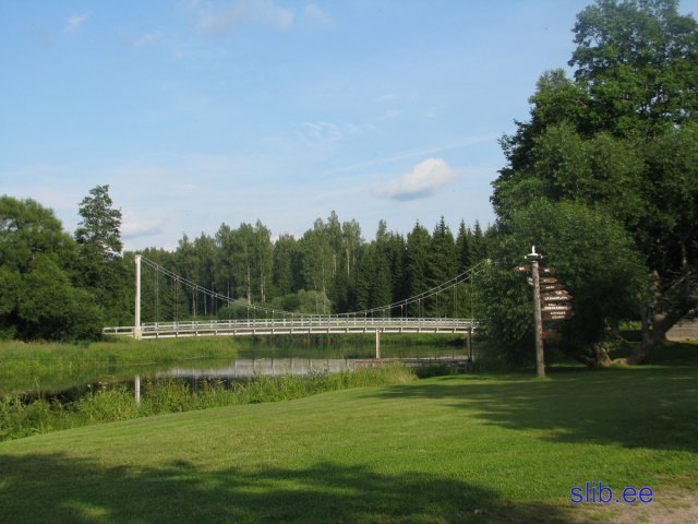 IMG_7449.JPG