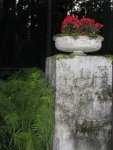 IMG_7609.JPG