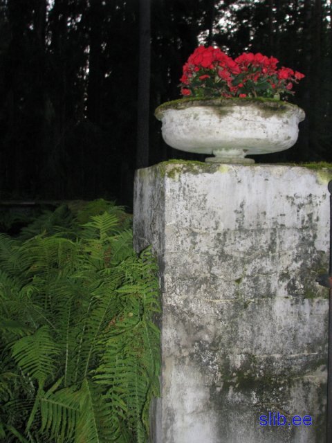 IMG_7609.JPG