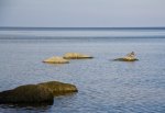 IMG_7432.jpg