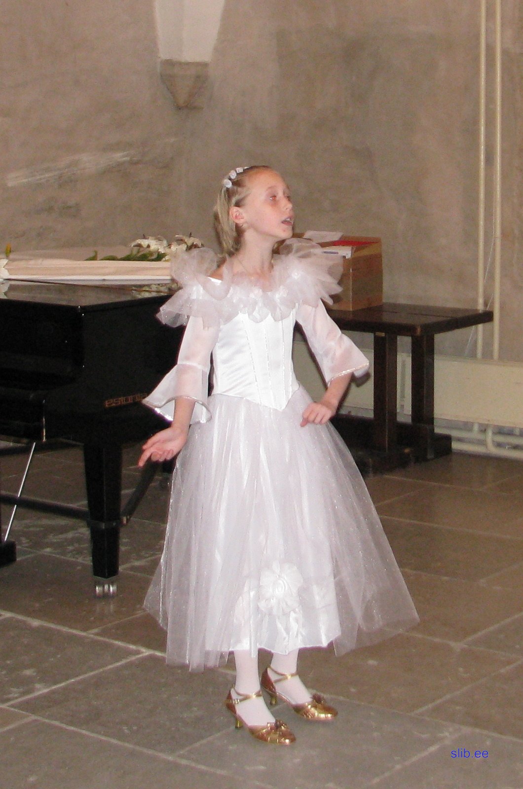 IMG_8330.JPG