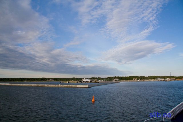 IMG_2732.jpg
