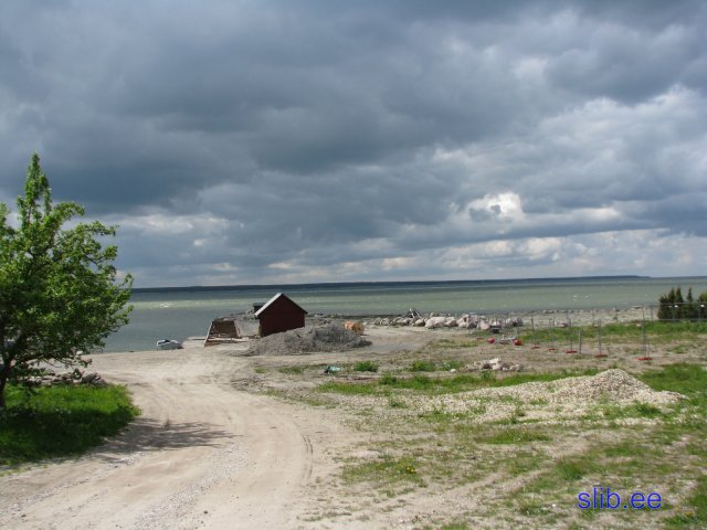 borisova 2.JPG