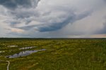 IMG_4089.JPG