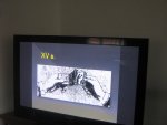 IMG_0016.jpg
