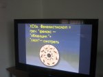 IMG_0017.jpg