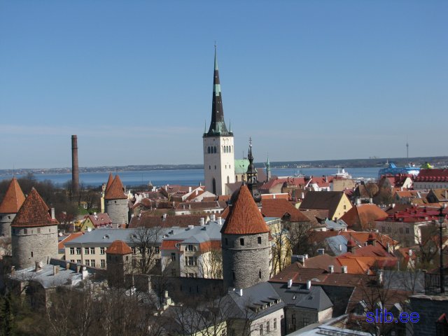 IMG_1841.jpg