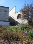 IMG_1799.jpg