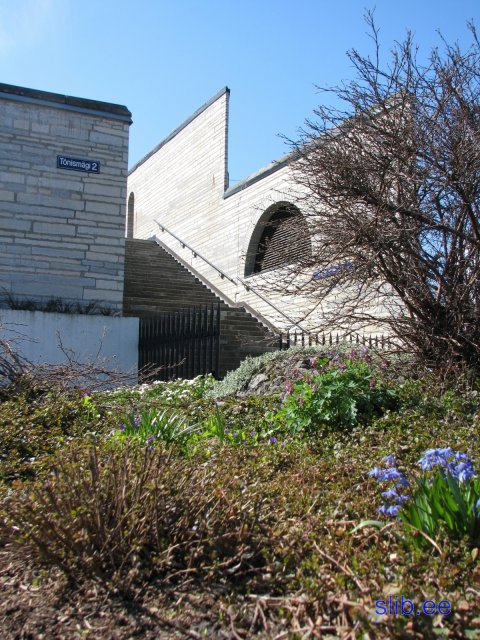 IMG_1799.jpg