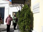 IMG_1813.jpg