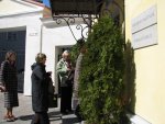 IMG_1815.jpg