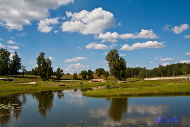 IMG_6529.jpg