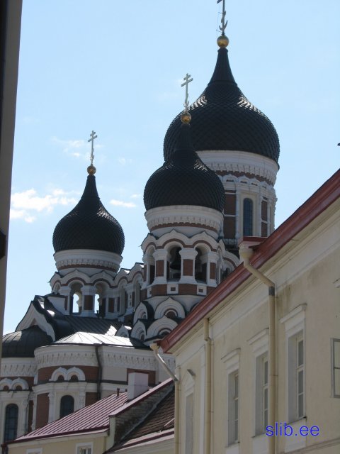 IMG_1885.jpg
