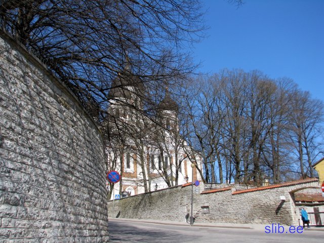 IMG_1886.jpg