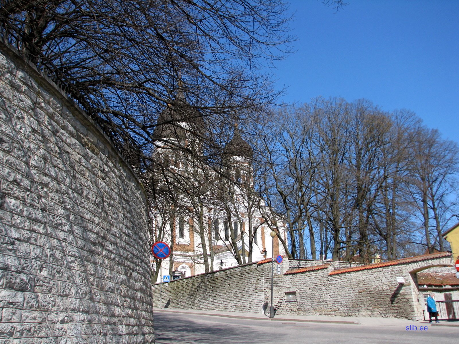 IMG_1886.jpg