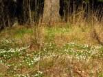 IMG_1943.jpg