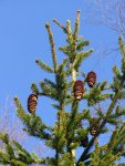 IMG_1959.jpg