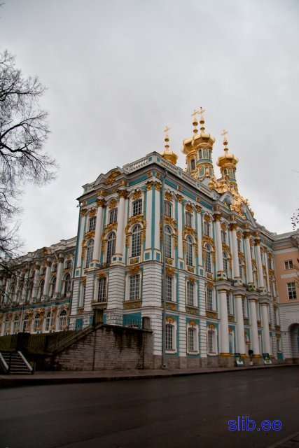 IMG_8333.jpg