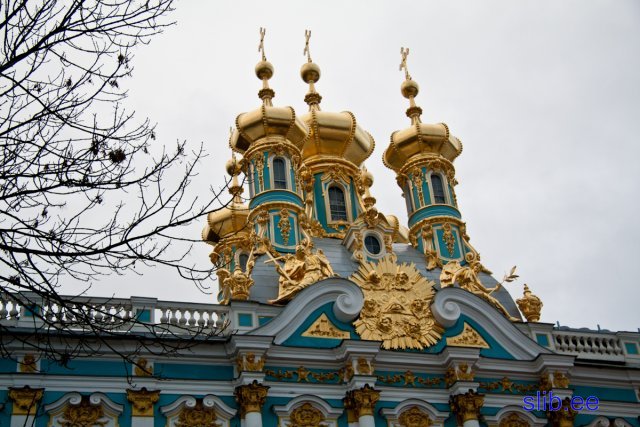 IMG_8336.jpg