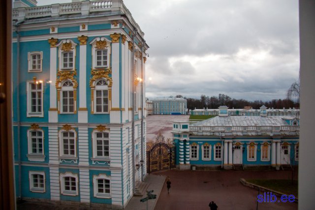 IMG_8388.jpg