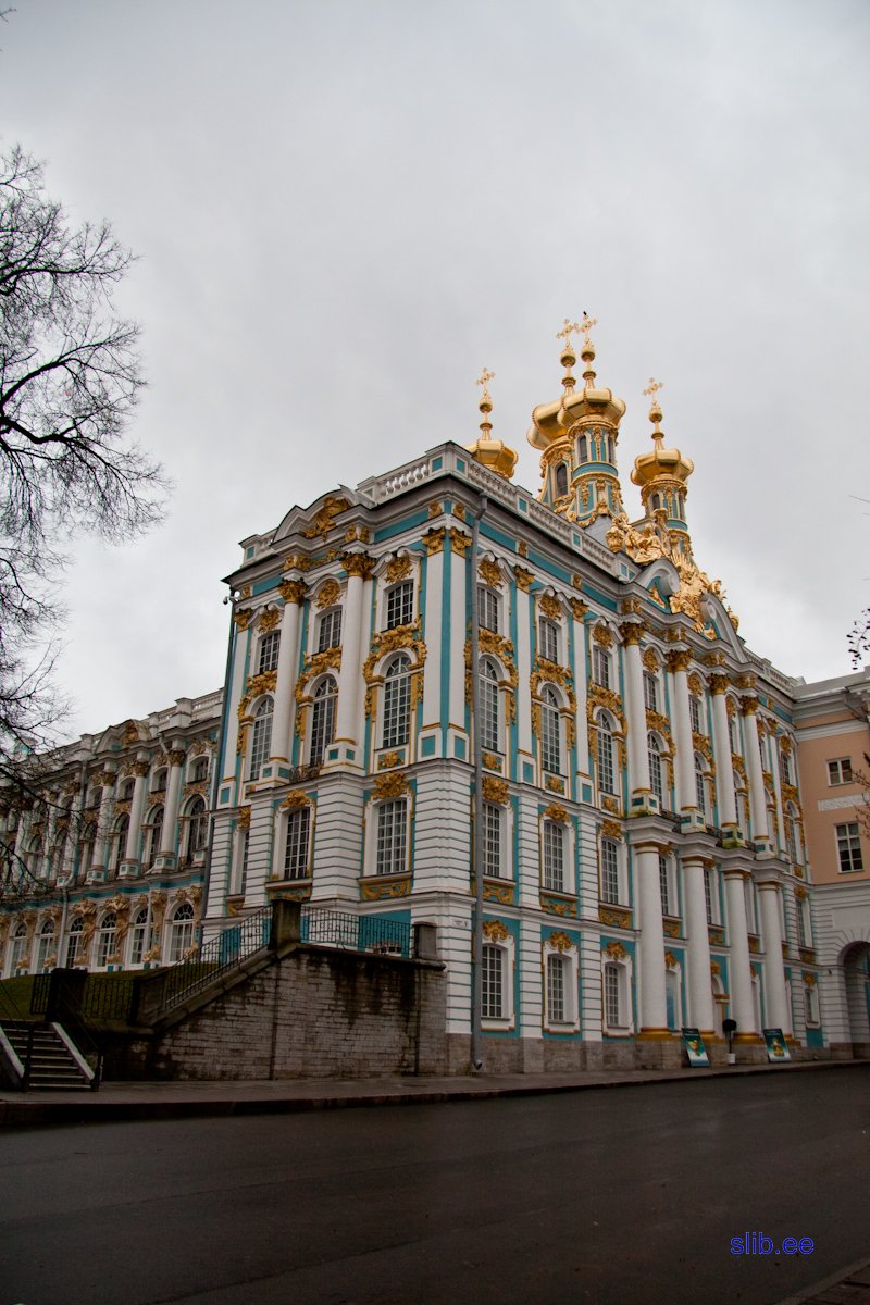 IMG_8333.jpg