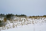IMG_9319.jpg