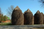 30_04_2008 202.jpg