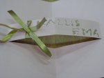 emade paev 016.JPG