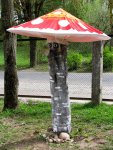 IMG_2506.JPG
