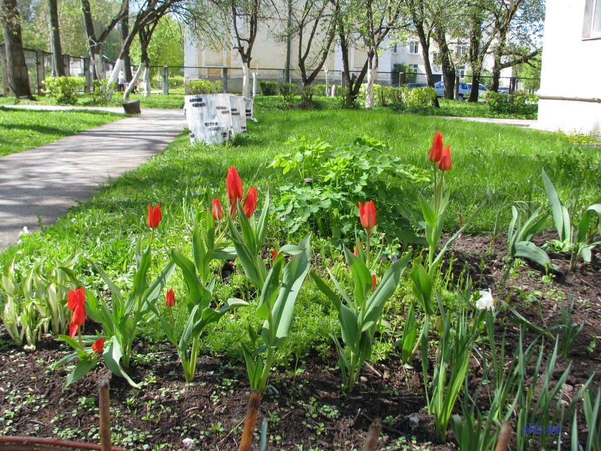 IMG_2693.JPG