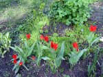 IMG_2778.JPG