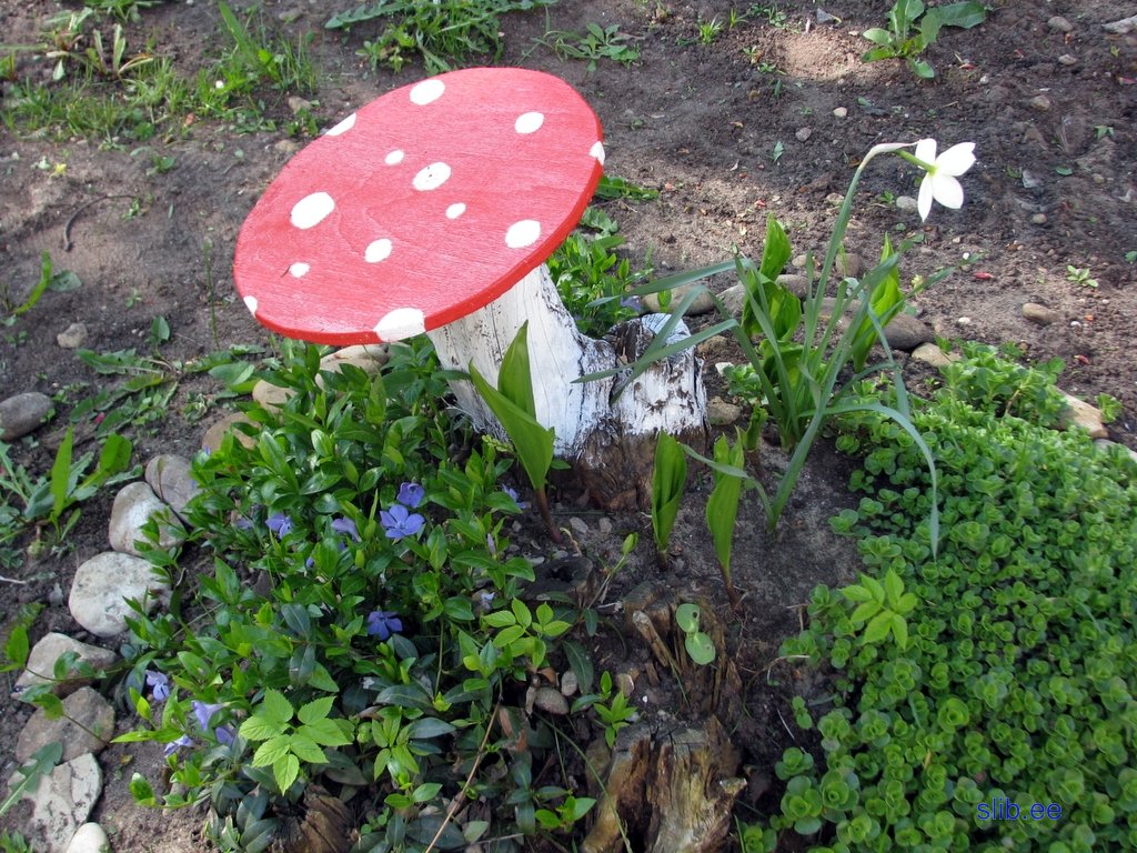IMG_2780.JPG