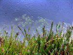 IMG_3011.jpg