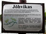 IMG_3026.jpg
