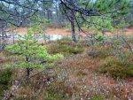 IMG_3047.jpg