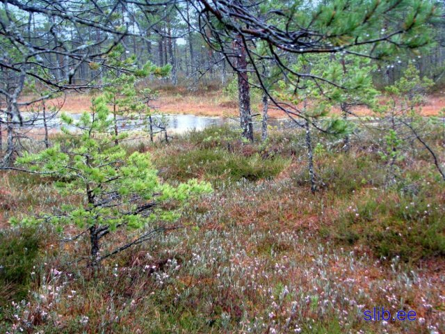 IMG_3047.jpg