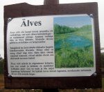 IMG_3050.JPG
